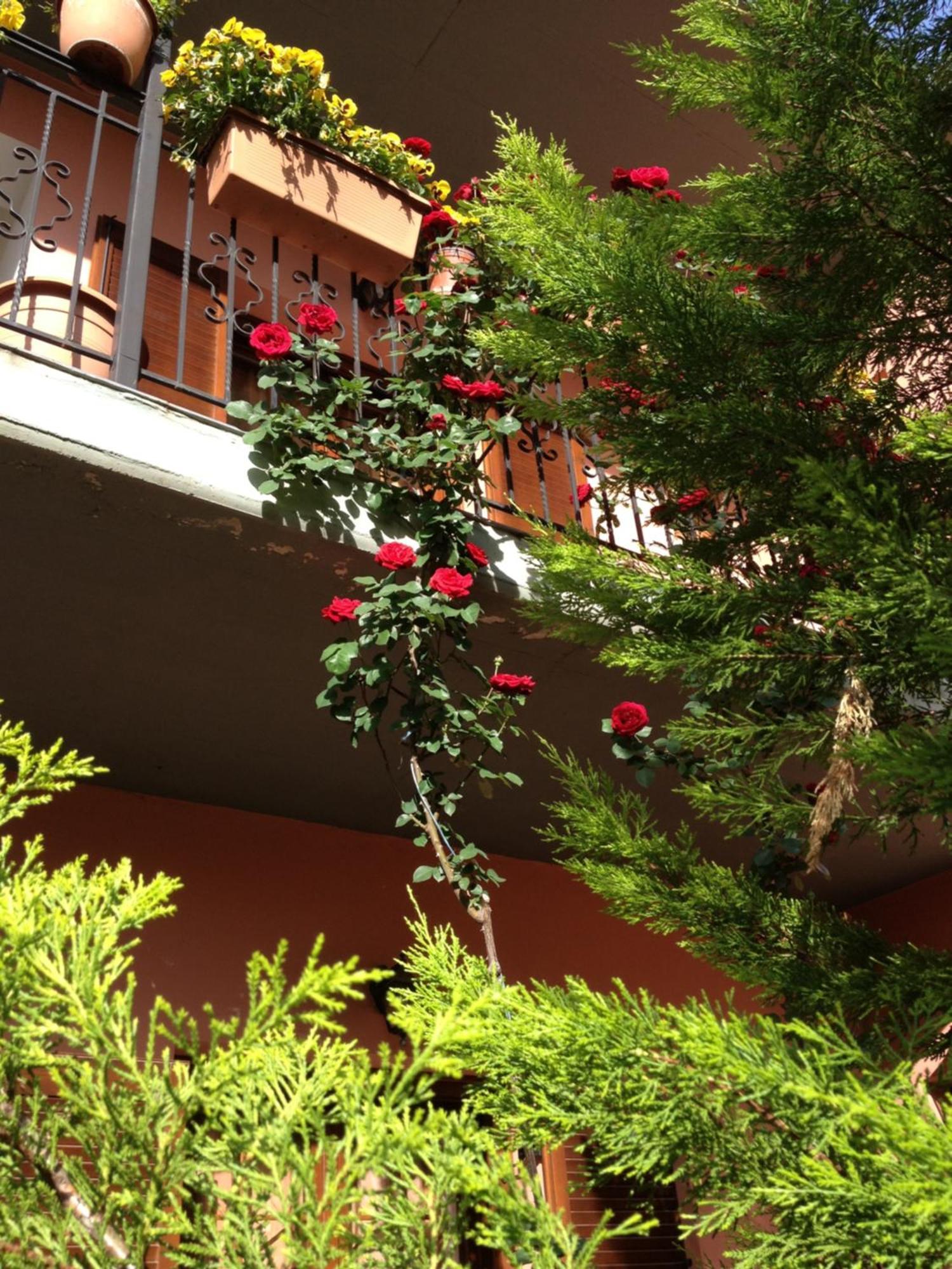 Artemis Apartments Конитса Экстерьер фото